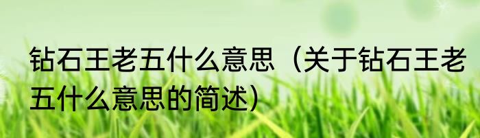 钻石王老五什么意思（关于钻石王老五什么意思的简述）