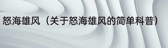 怒海雄风（关于怒海雄风的简单科普）