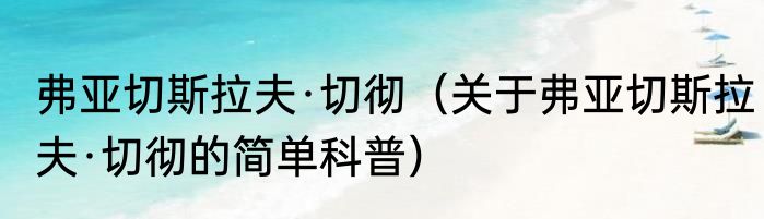 弗亚切斯拉夫·切彻（关于弗亚切斯拉夫·切彻的简单科普）