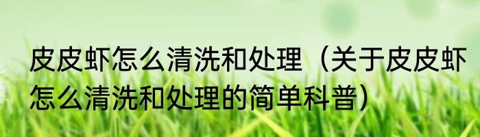 皮皮虾怎么清洗和处理（关于皮皮虾怎么清洗和处理的简单科普）