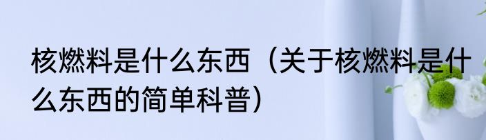 核燃料是什么东西（关于核燃料是什么东西的简单科普）
