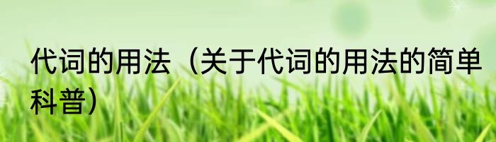代词的用法（关于代词的用法的简单科普）
