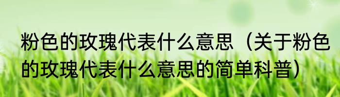 粉色的玫瑰代表什么意思（关于粉色的玫瑰代表什么意思的简单科普）