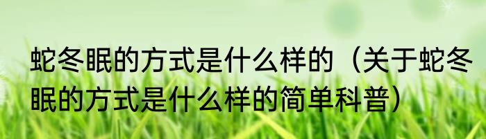 蛇冬眠的方式是什么样的（关于蛇冬眠的方式是什么样的简单科普）