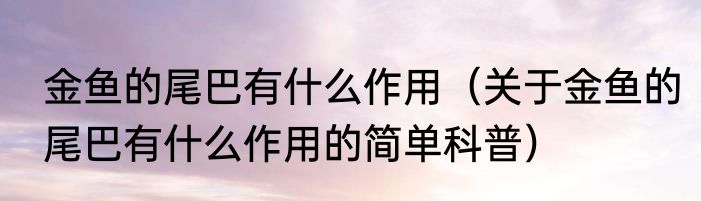 金鱼的尾巴有什么作用（关于金鱼的尾巴有什么作用的简单科普）