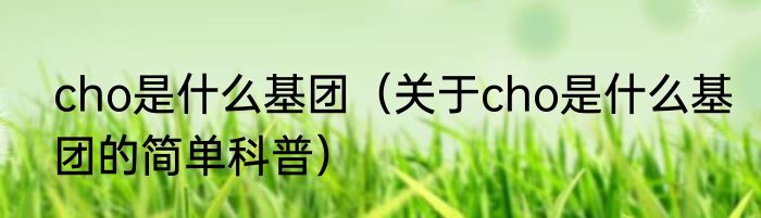 cho是什么基团（关于cho是什么基团的简单科普）