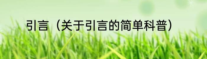 引言（关于引言的简单科普）
