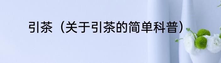 引茶（关于引茶的简单科普）
