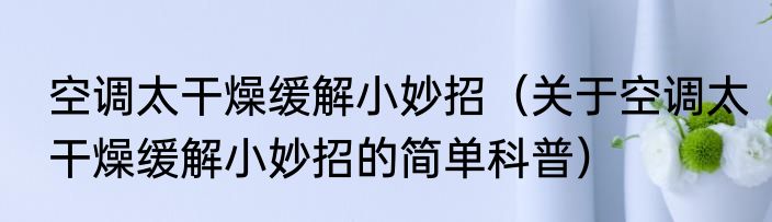 空调太干燥缓解小妙招（关于空调太干燥缓解小妙招的简单科普）