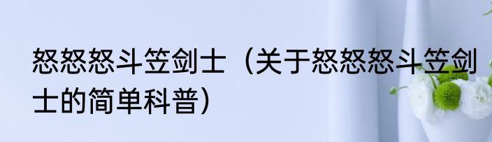 怒怒怒斗笠剑士（关于怒怒怒斗笠剑士的简单科普）