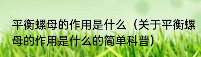 平衡螺母的作用是什么（关于平衡螺母的作用是什么的简单科普）