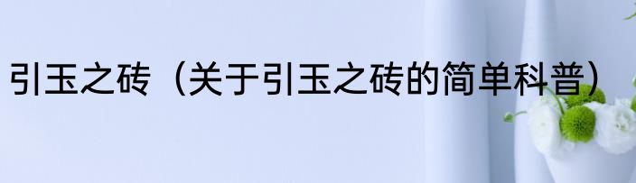 引玉之砖（关于引玉之砖的简单科普）