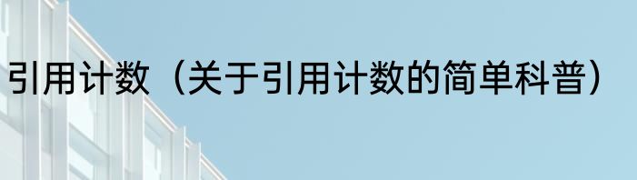 引用计数（关于引用计数的简单科普）
