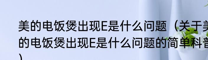 美的电饭煲出现E是什么问题（关于美的电饭煲出现E是什么问题的简单科普）