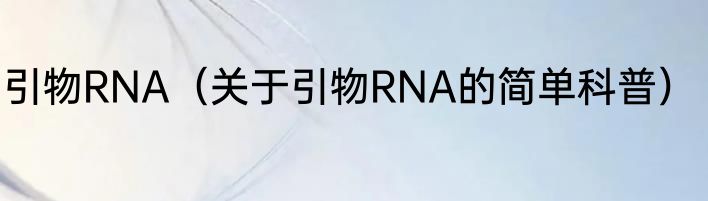 引物RNA（关于引物RNA的简单科普）