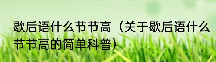 歇后语什么节节高（关于歇后语什么节节高的简单科普）