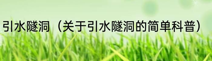 引水隧洞（关于引水隧洞的简单科普）