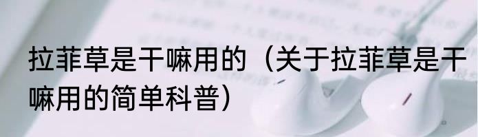 拉菲草是干嘛用的（关于拉菲草是干嘛用的简单科普）