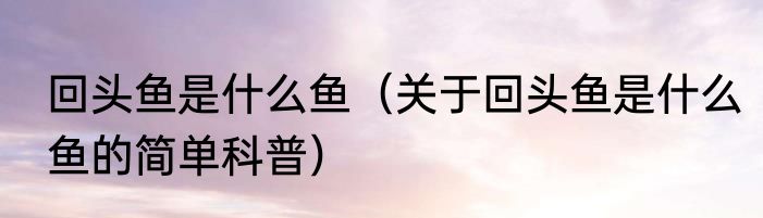 回头鱼是什么鱼（关于回头鱼是什么鱼的简单科普）