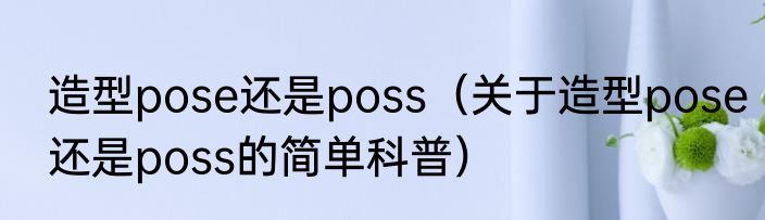 造型pose还是poss（关于造型pose还是poss的简单科普）