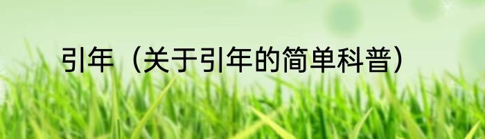 引年（关于引年的简单科普）