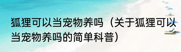 狐狸可以当宠物养吗（关于狐狸可以当宠物养吗的简单科普）