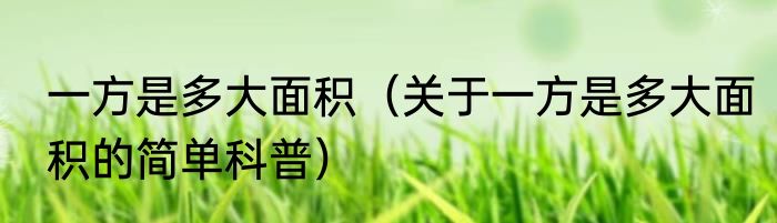 一方是多大面积（关于一方是多大面积的简单科普）