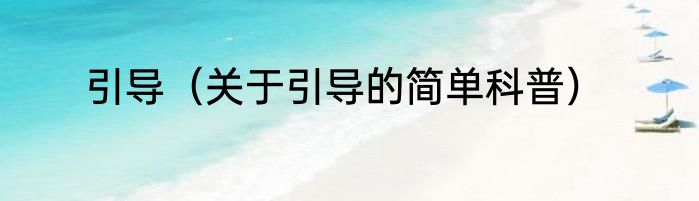 引导（关于引导的简单科普）