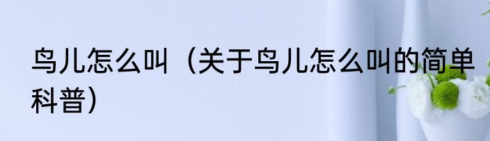 鸟儿怎么叫（关于鸟儿怎么叫的简单科普）
