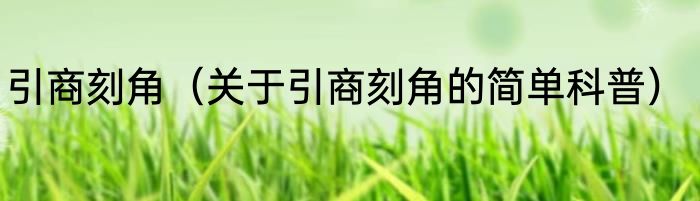 引商刻角（关于引商刻角的简单科普）