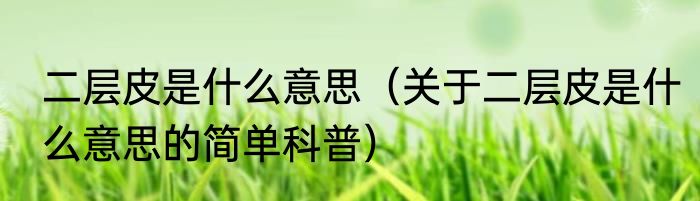 二层皮是什么意思（关于二层皮是什么意思的简单科普）