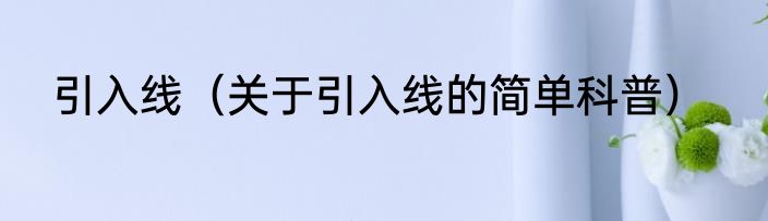 引入线（关于引入线的简单科普）