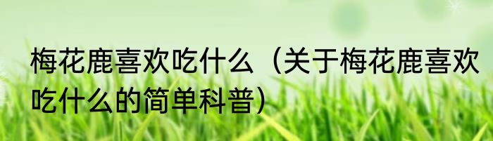 梅花鹿喜欢吃什么（关于梅花鹿喜欢吃什么的简单科普）