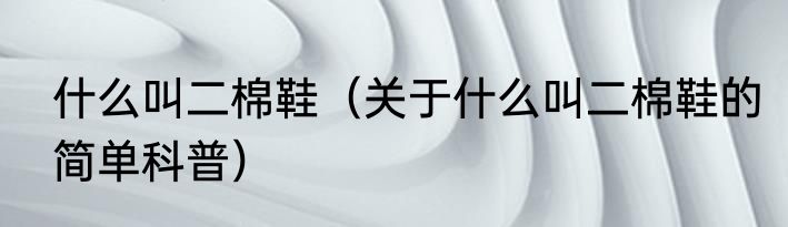 什么叫二棉鞋（关于什么叫二棉鞋的简单科普）