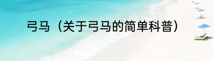 弓马（关于弓马的简单科普）