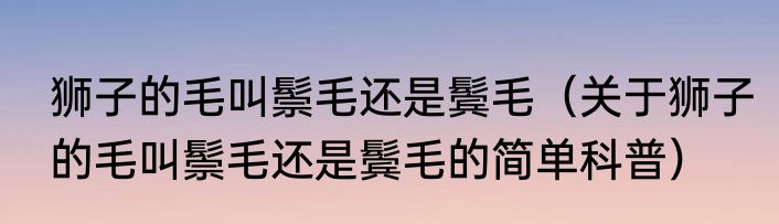 狮子的毛叫鬃毛还是鬓毛（关于狮子的毛叫鬃毛还是鬓毛的简单科普）