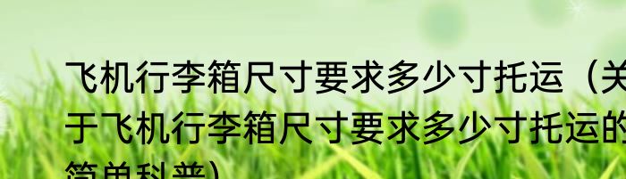 飞机行李箱尺寸要求多少寸托运（关于飞机行李箱尺寸要求多少寸托运的简单科普）