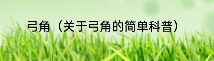 弓角（关于弓角的简单科普）