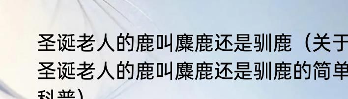 圣诞老人的鹿叫麋鹿还是驯鹿（关于圣诞老人的鹿叫麋鹿还是驯鹿的简单科普）