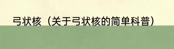 弓状核（关于弓状核的简单科普）