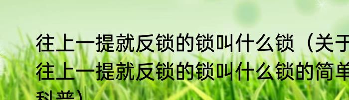 往上一提就反锁的锁叫什么锁（关于往上一提就反锁的锁叫什么锁的简单科普）