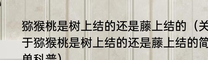 绿皮火车速度每小时多少公里（关于绿皮火车速度每小时多少公里的简单科普）