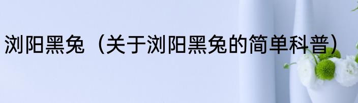 浏阳黑兔（关于浏阳黑兔的简单科普）
