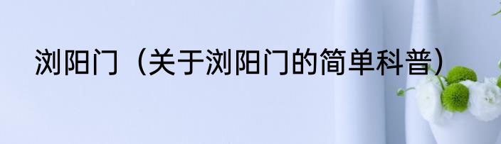 浏阳门（关于浏阳门的简单科普）