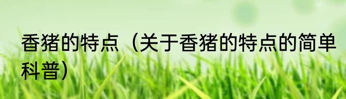 香猪的特点（关于香猪的特点的简单科普）