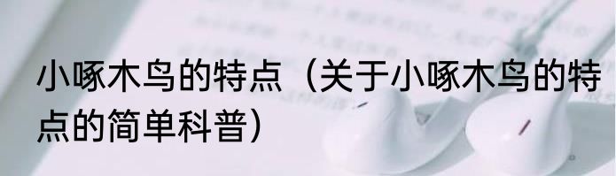 小啄木鸟的特点（关于小啄木鸟的特点的简单科普）