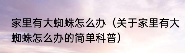 家里有大蜘蛛怎么办（关于家里有大蜘蛛怎么办的简单科普）