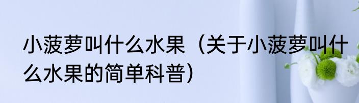小菠萝叫什么水果（关于小菠萝叫什么水果的简单科普）