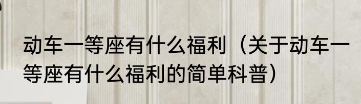动车一等座有什么福利（关于动车一等座有什么福利的简单科普）