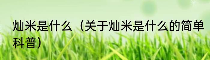 灿米是什么（关于灿米是什么的简单科普）